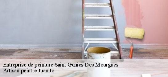 Entreprise de peinture  34160