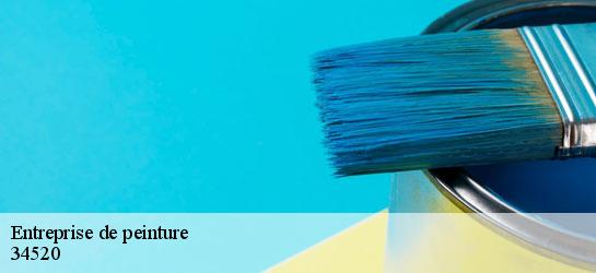 Entreprise de peinture 34520
