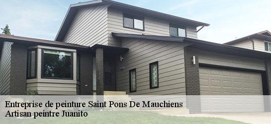 Entreprise de peinture 34230