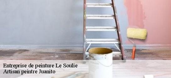 Entreprise de peinture  34330