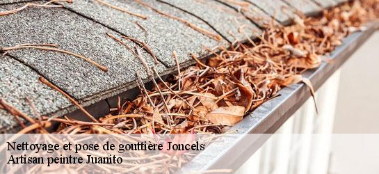 Nettoyage et pose de gouttière 34650