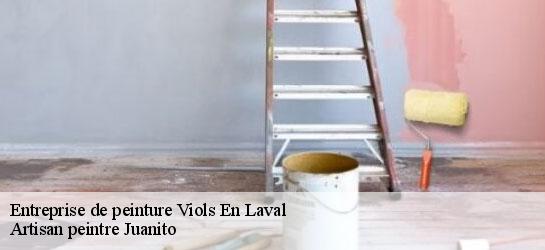 Entreprise de peinture  34380