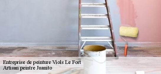 Entreprise de peinture  34380