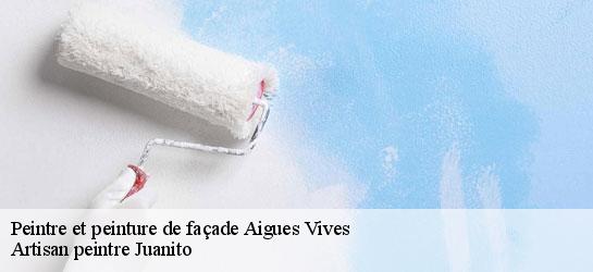 Peintre et peinture de façade 34210