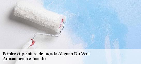 Peintre et peinture de façade  34290