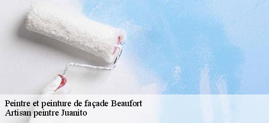 Peintre et peinture de façade 34210