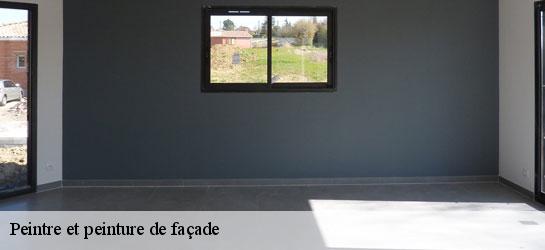 Peintre et peinture de façade 34480