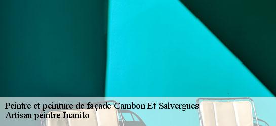 Peintre et peinture de façade 34330