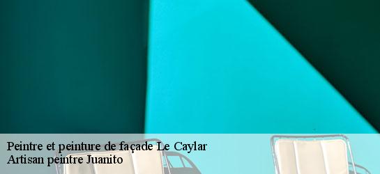 Peintre et peinture de façade 34520