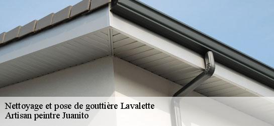 Nettoyage et pose de gouttière 34700