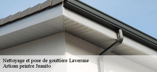 Nettoyage et pose de gouttière  34880