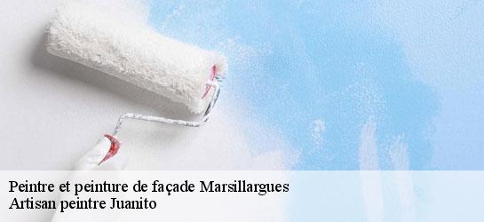 Peintre et peinture de façade  34590