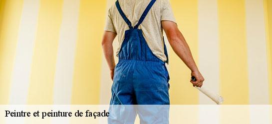Peintre et peinture de façade  34000