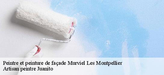 Peintre et peinture de façade  34570