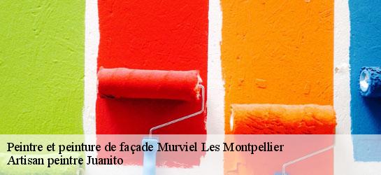 Peintre et peinture de façade  34570