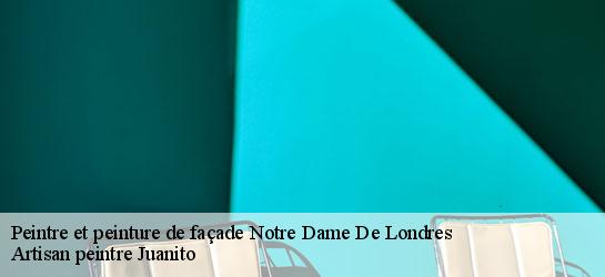 Peintre et peinture de façade 34380