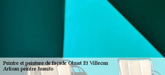 Peintre et peinture de façade  34700