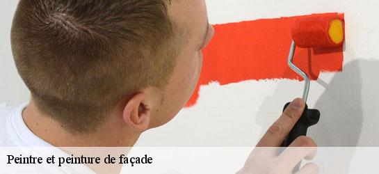 Peintre et peinture de façade 34620