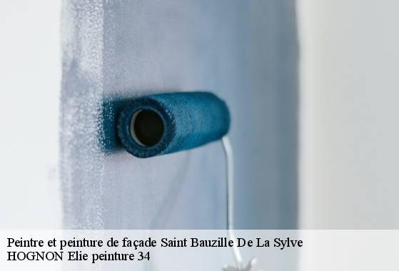 Peintre et peinture de façade  saint-bauzille-de-la-sylve-34230 HOGNON Elie peinture 34