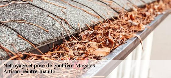 Nettoyage et pose de gouttière 34480