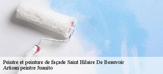 Peintre et peinture de façade  34160