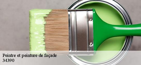 Peintre et peinture de façade 34390