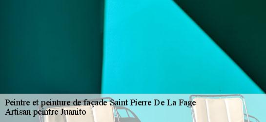 Peintre et peinture de façade  34520