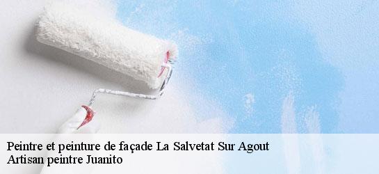 Peintre et peinture de façade 34330