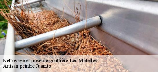 Nettoyage et pose de gouttière  34270