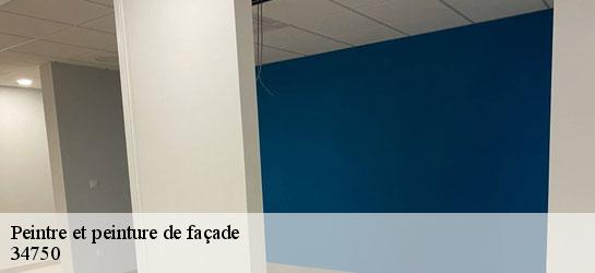 Peintre et peinture de façade  34750