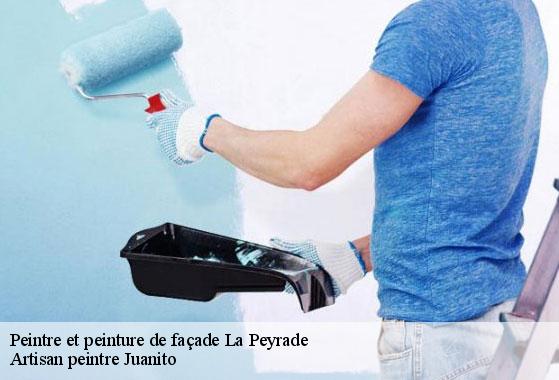 Peintre et peinture de façade la-peyrade-34110 Artisan peintre Juanito