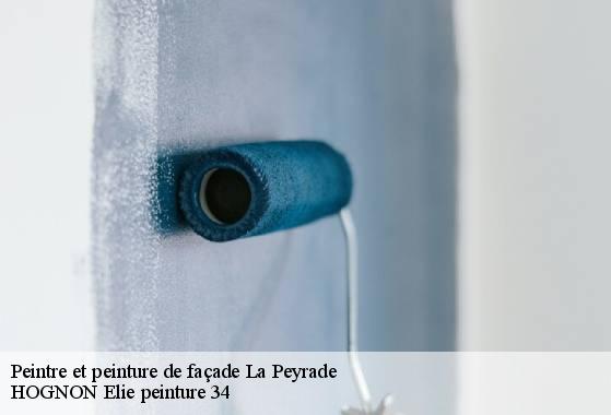 Peintre et peinture de façade  la-peyrade-34110 HOGNON Elie peinture 34