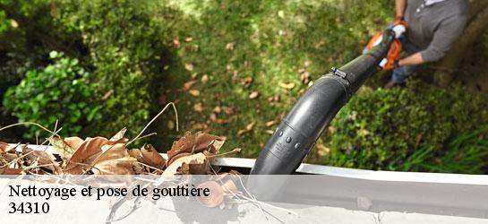 Nettoyage et pose de gouttière  34310