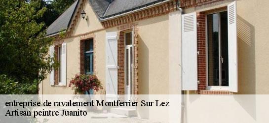 entreprise de ravalement  34980