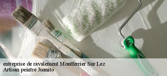 entreprise de ravalement  34980