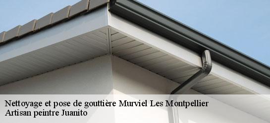 Nettoyage et pose de gouttière 34570