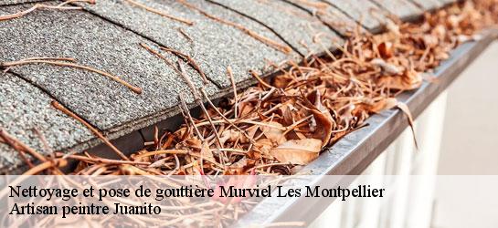 Nettoyage et pose de gouttière 34570