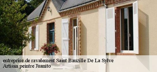 entreprise de ravalement 34230