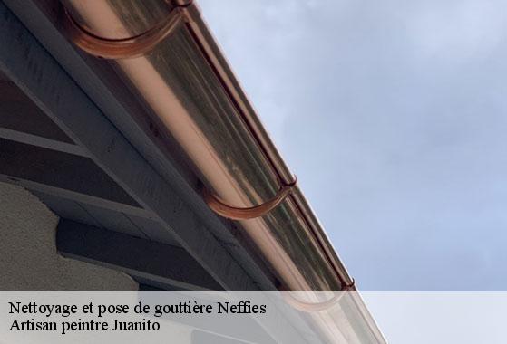 Nettoyage et pose de gouttière  neffies-34320 Artisan peintre Juanito