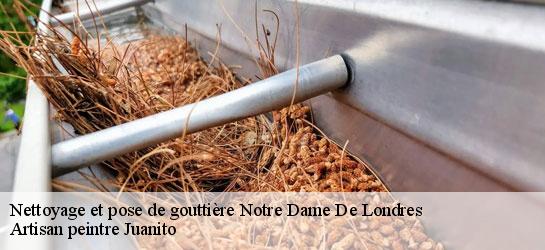 Nettoyage et pose de gouttière  34380