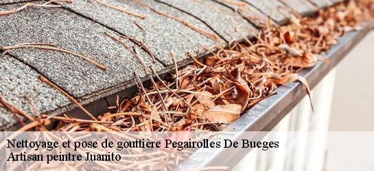 Nettoyage et pose de gouttière  34380