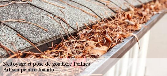 Nettoyage et pose de gouttière  34310