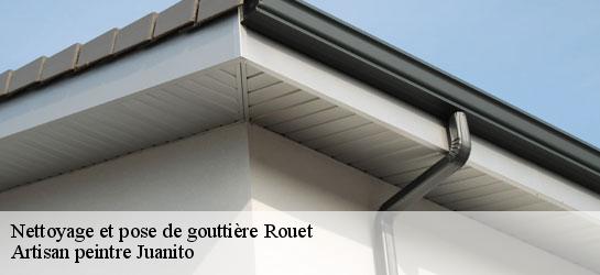 Nettoyage et pose de gouttière  34380