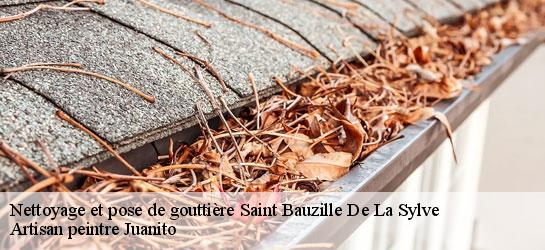 Nettoyage et pose de gouttière 34230