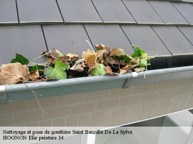 Nettoyage et pose de gouttière  saint-bauzille-de-la-sylve-34230 HOGNON Elie peinture 34