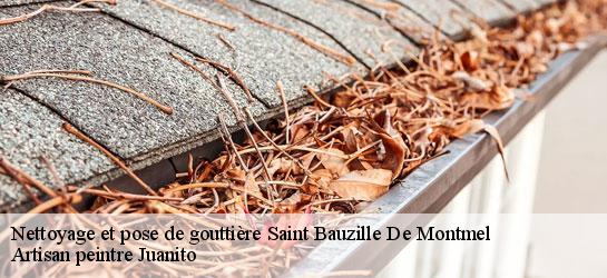 Nettoyage et pose de gouttière  34160