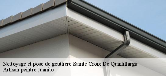 Nettoyage et pose de gouttière 34270