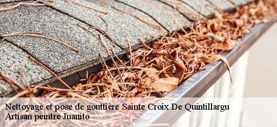 Nettoyage et pose de gouttière 34270