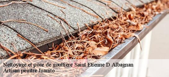 Nettoyage et pose de gouttière 34390