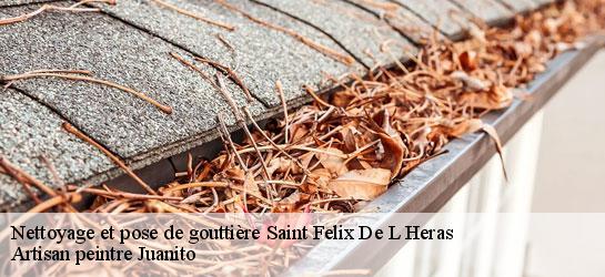 Nettoyage et pose de gouttière  34520